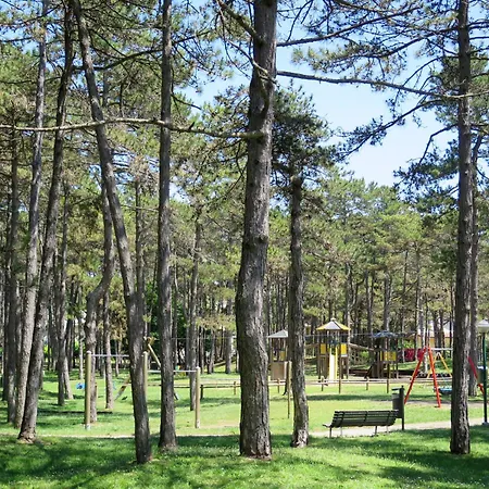 Parco Hemingway-28 By Interhome Daire Lignano Sabbiadoro